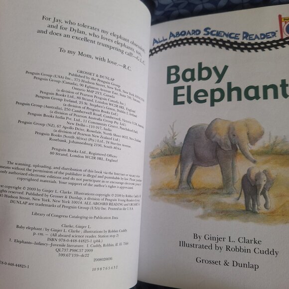 baby elephant - Picture 4 of 4